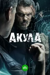 Акула 1 сезон 